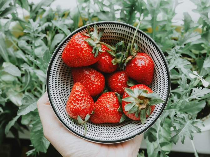 Eine Schale reifer, roter Erdbeeren.