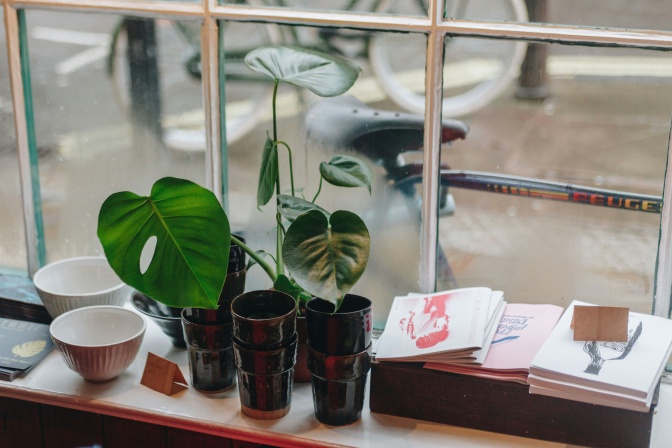 Mehrere Zines liegen in Stapeln in einem Schaufenster, daneben Pflanzen und Keramikschalen.