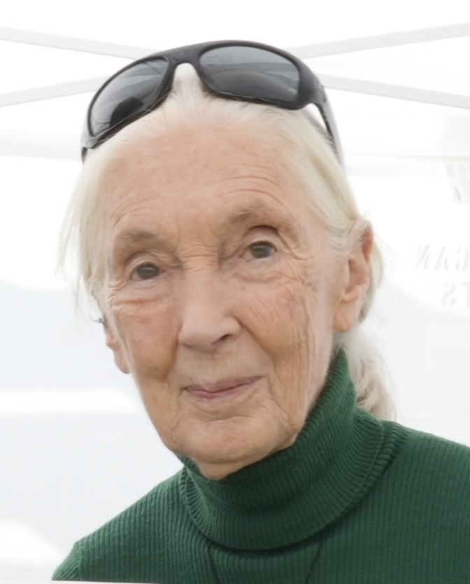 Jane Goodall mit weißen, zum Pferdeschwanz gebundenen Haaren. Sie hat eine Sonnenbrille aus dem Gesicht geschoben und schaut direkt in die Kamera.