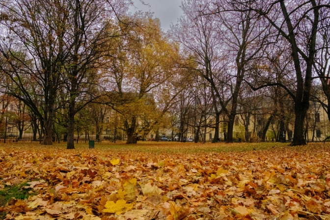 Ein Park im Herbst. Einige Bäume sind schon ziemlich kahl, Laub liegt auf dem Boden.