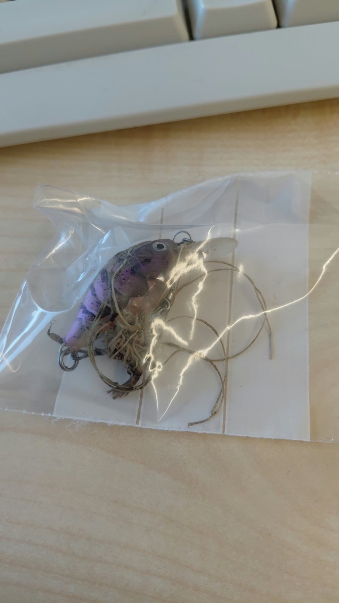 Ein Plastikbeutel mit einer Angelschnur mit Köder